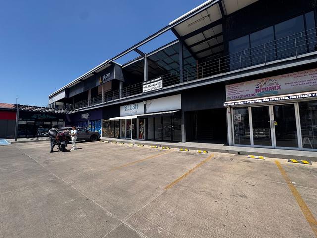 Foto de la galeria de imagenes