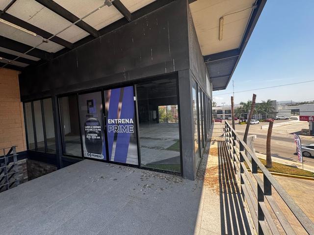 Foto de la galeria de imagenes